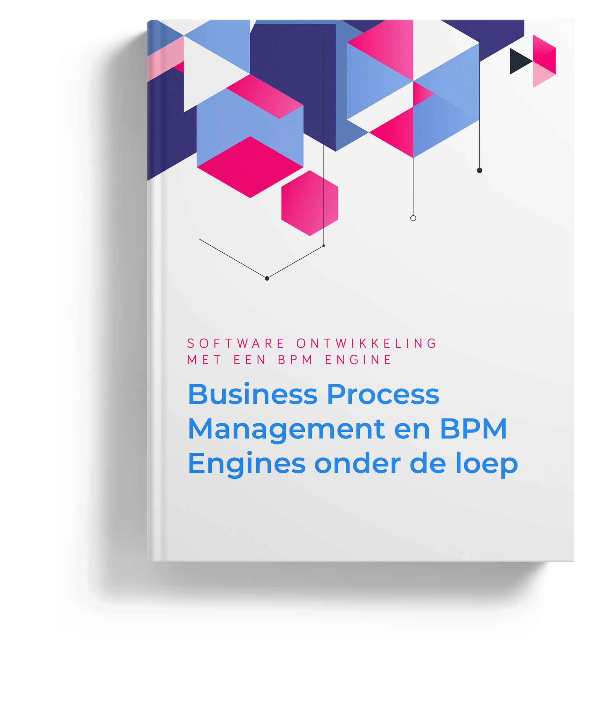 Software ontwikkeling met een BPM Engine